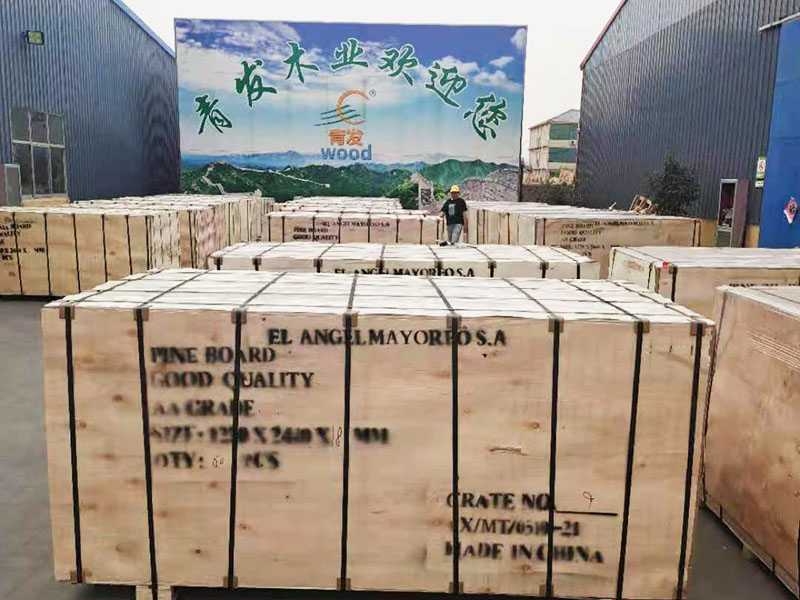 Innovation in the board industry leads to a new future, building a green ecological home together